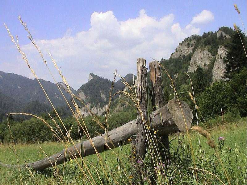 PIENINY.JPG