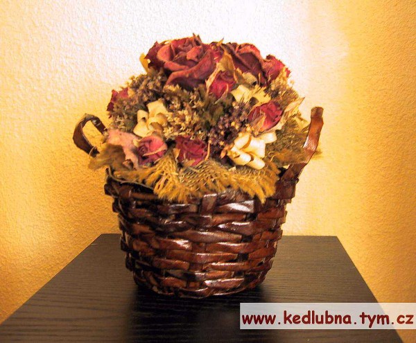 Papírový pedig