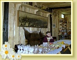 pernicky