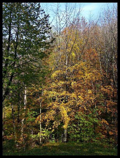 Podzim v Beskydech a Javorníkách